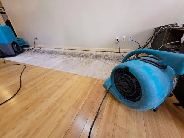 Professional Structural Drying technician working in Vassar, MI